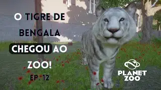 FINALMENTE! Coloquei o TIGRE DE BENGALA no ZOO| Gameplay Speedbuild    Planet Zoo 2025 PTBR