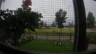Victoria battered by wild winds - Melbourne Thunderstorms - 29 Oct 2021 - Part 3 - Time Lapse