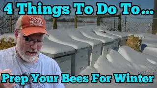 4 Things To Do in October & November to Prepare Your Bees For Winter | Beekeepers Talk