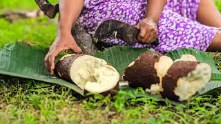 Peaceful Village ASMR: village girl cooking Boiled Cassava with traditional Sambol