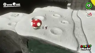 Database - Luigi Pad