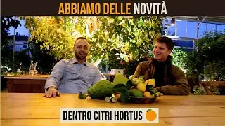 Scopri la serra di agrumi pi&ugrave; bella d&rsquo;Italia! 🍋 🍊 @agrumilenzi2148