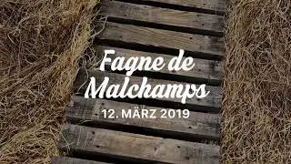 2019-03-12 Fagne de Malchamps