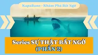 #2 C&Aacute; MẬP, HAWAII, HẮT HƠI, RUBIK v&agrave; CHIM RUỒI - Sự Thật Th&uacute; Vị - Series SỰ THẬT BẤT NGỜ (Phần 2)
