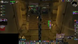 Vanilla WoW - Feral Druid - UBRS / MC Quest / Scholomance
