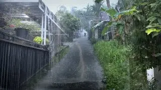 Walking in the Super Fast Thunder Rain | It rained very heavily | Fall asleep with a rumbling sound