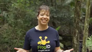FrogID Week