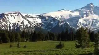 Mt. Rainier Sunrise Point