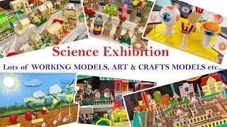 Amazing Science Exhibition there are lots of Science project working models, Art & Craft projects