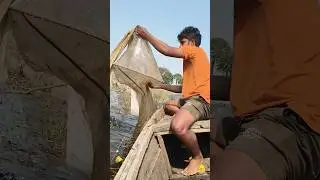 Fishing#net#shorts#shortvideo#nature#small#big#fish#video#viralvideo#villagelife#