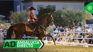 Andaluc&iacute;a Directo | Viernes 3 de octubre