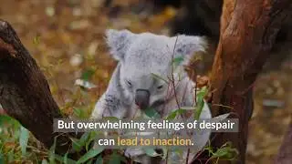 Can literature evoke empathy for nature?