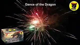 Black Cat Fireworks Dance Of The Dragon Single Ignition#fireworks #pyro