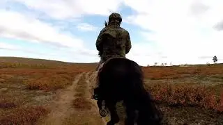 Wild horse riding in the Arctic Fjells