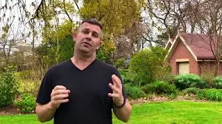 The Garden Design Brief Guide