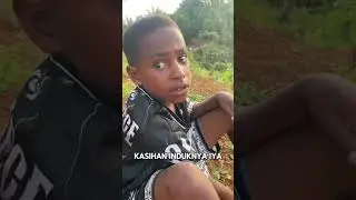 Hutan papua