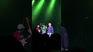 Still Beating - Mac Demarco LIVE Calgary 12/17/2025