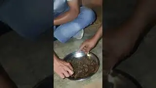 Mutton Vutuwa Jad