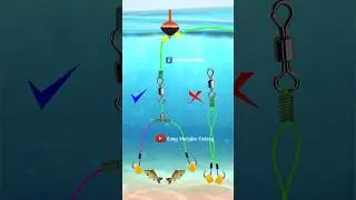 DIY RIG FISHING 2 HOOK FREE TANGLE Fishing Knot Skills Fishing Knot Using Tackle #fishing #tutorial