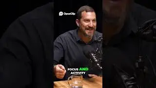Reset Your Mind  Master Focus & Energy