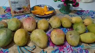 Seasonal fruits and daily use products| Shopping 🛍️ Vlog |