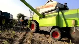 Napraforg&oacute; arat&aacute;s|2015|John Deere|Class MEGA 360|