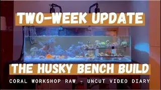 2-week update - The Husky Bench Build - Coral Workshop Raw