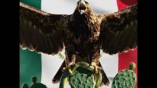 Cumbia &Aacute;guila Real 🇲🇽💥CUMBY-IA Vuela Conmigo #dj #cumbias_limpias_sonideras #cumbia #musica #newsong