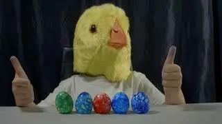Cracked Dyed Eggs - THE NOVOA TWINS