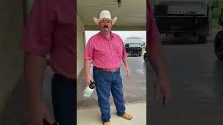 Spraying the leftover bees after the bee removal.
