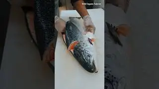 🔪🐬|King Salmon | Salmon Filleting Technique #king #salmon #filleting #technique #fishcutting #shorts