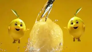 Citrus Fruits Song