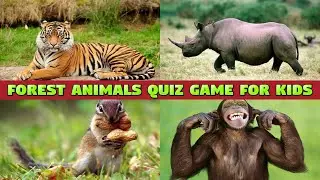 FOREST ANIMALS QUIZ GAME FOR KIDS