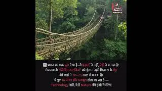 Natural Bridge in Belgium | A Hidden Wonder | Natural Engineering |