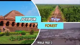 Joypur Forest trip 🌲  | Hidden Airport in Forest😱| Runway Of World War 2🛫 | Joypur British aerodrome