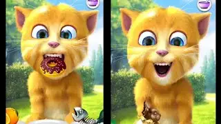 Talking Ginger 2 🍍 Talking Ginger Cat funny videos 🐈my talking tom 