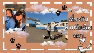 เที่ยวบินสำหรับน้องหมาในอเมริกา | PilotsNPaws