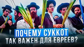 Праздник Суккот: от шалашей в пустыне до современных традиций