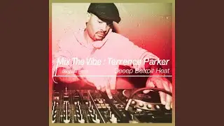 Heal My Heart (Terrence Parker Re-Edit of Kerri Chandler Big Mix (Mixed))