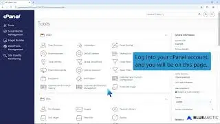 How to add an MX Record in cPanel using DNS Zone Editor with BLUE ARCTIC