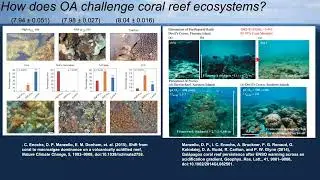 Coral Reef in a High CO2 World - July 8 2019