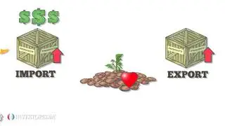 Interesting Facts About Imports and Exports