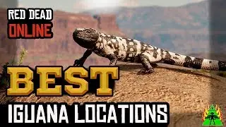 Red Dead Redemption 2 Online - IGUANA LOCATIONS
