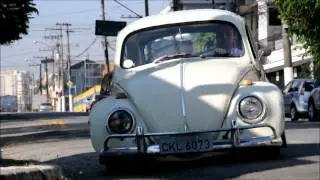 The RatBugz