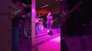 The Rockin Daddys : Rollin Through The Night