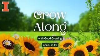 Good Growing Grow Along: итоговая проверка за 2024 год | #GoodGrowing