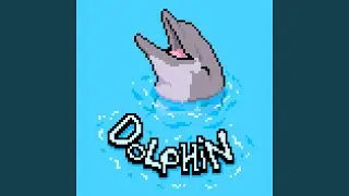 Dolphin Island