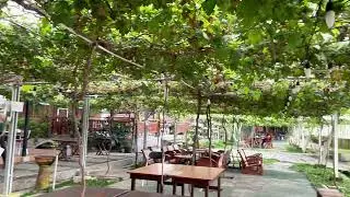 Kebun Anggur Mbah Cho