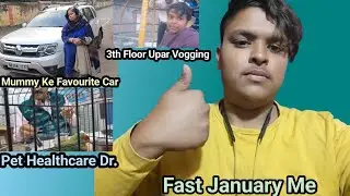 1st January Ko Kiya Maine🤯Pahla Sal Ka Pahla Sangat😇Men V/S Dog😂Parrot/Piku Ko Car Mein Ghumaya😊😊