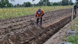 SMART FARMING PROCESS: MAKING RAISED BEDS WITH SIMPLE TOOLS! - Agriculture Farming